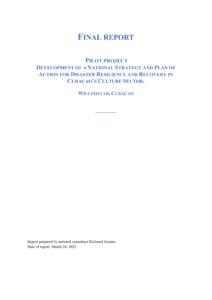 Cover-Final-Report-Development-of-a-National-Strategy-DRM-1-212x300